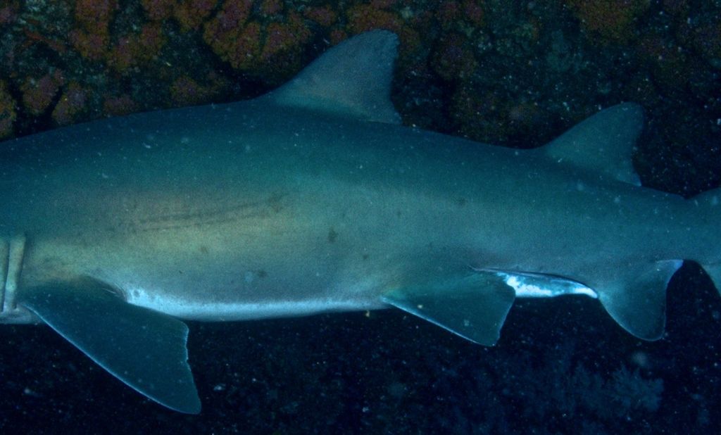 fca2e92b-7b30-48a2-bf1e-ad2acad1b846