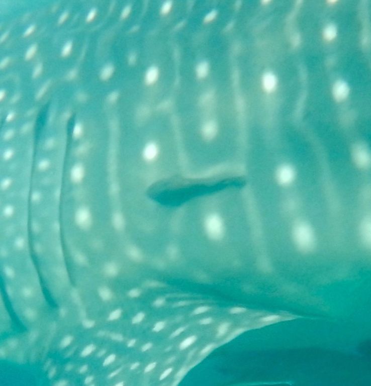 5d6c9bb2-d3ee-42cf-a04d-12b9d17699cc