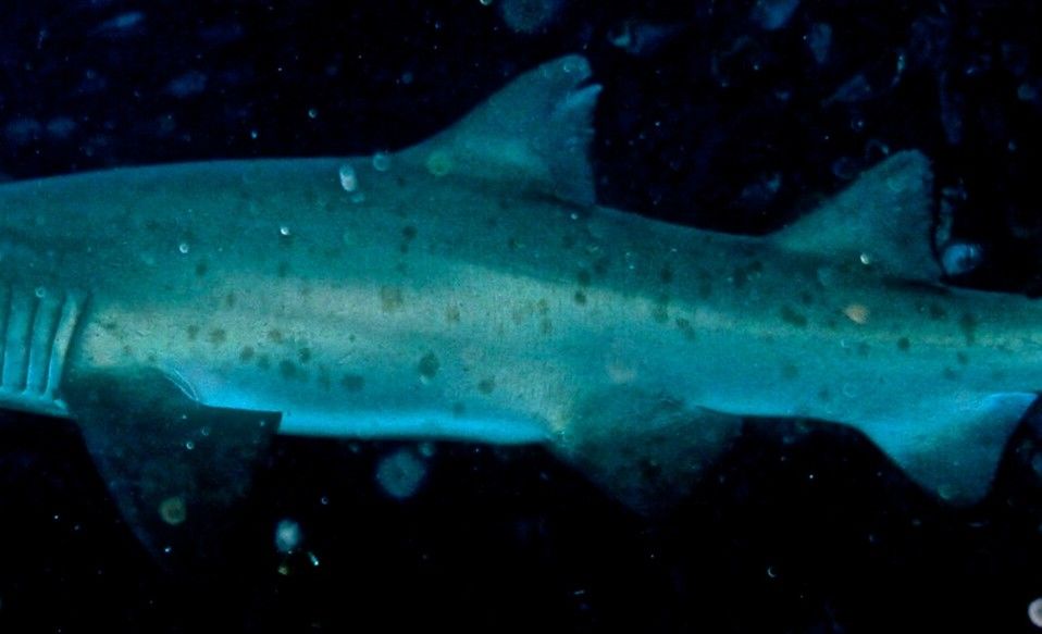 fa8a9e98-811f-4596-afea-13d0e32dc82e