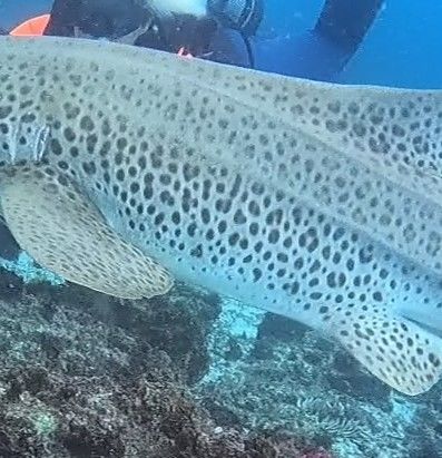 c6fd5142-1f55-4509-9536-7e96516519b8