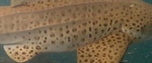 291550b8-d49b-4758-8ae0-67bd05a40cc6