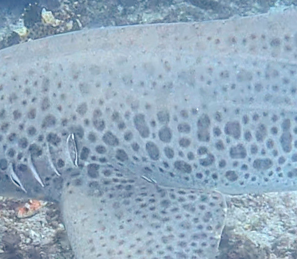 23b73a8d-a303-47eb-8a18-485a664d129c