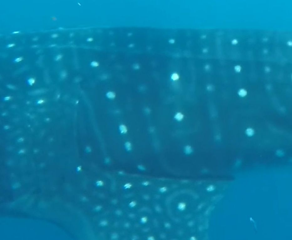 eb317d79-0ba9-45d7-801c-5d0c3c74e3a4