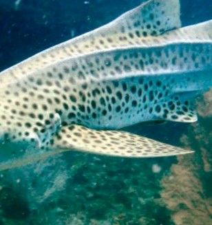 7d8a3bd2-49ec-45a5-8cb1-6fa2d4c559b3