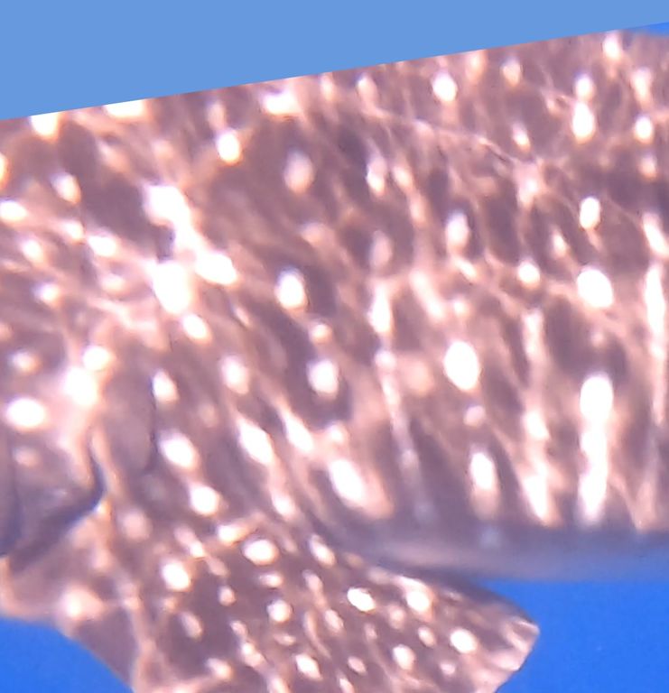 747b3825-1208-4ffa-bc0d-02e3117b3c47