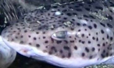 82bad25f-9789-43f6-aad5-9617ca4b2144