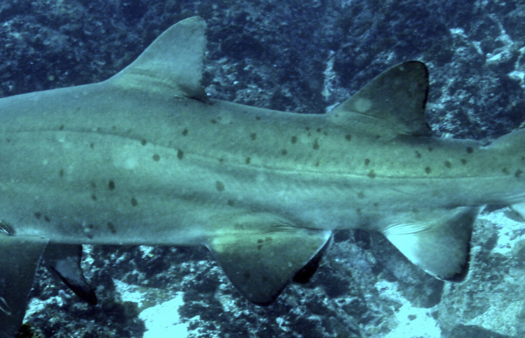 3a72ee55-02ee-45b7-aec3-30a66aaa6458