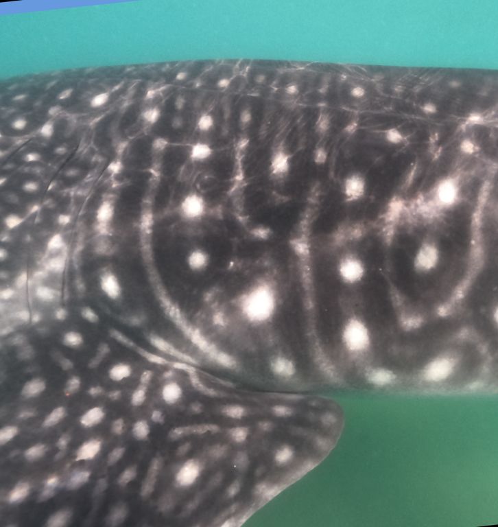 27416857-a44e-49c5-8bda-3fa29b8d3a95