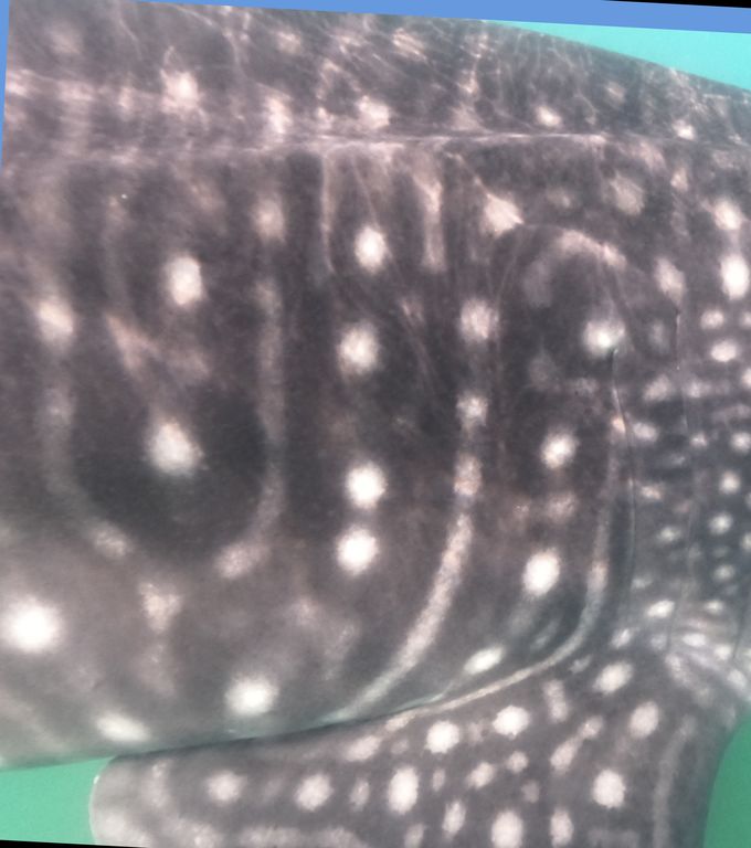 27416857-a44e-49c5-8bda-3fa29b8d3a95