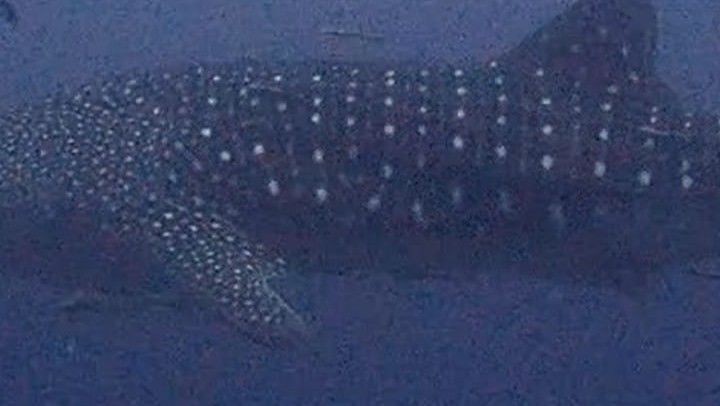 e329da26-1771-4e78-91d7-137a3301f0ad