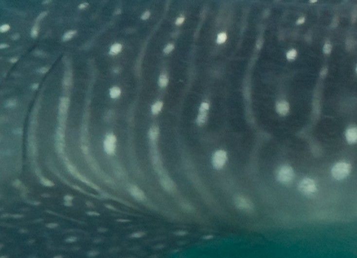 39292beb-132f-4beb-bdaf-7c8606a0a620