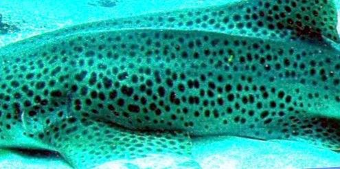 b18a931e-39f3-44ba-af7c-7c794f95cdb1