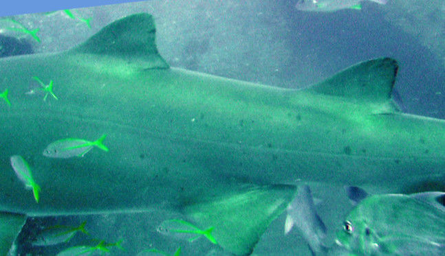 2bac3999-c458-4b7d-9b0c-4146d8d83fca