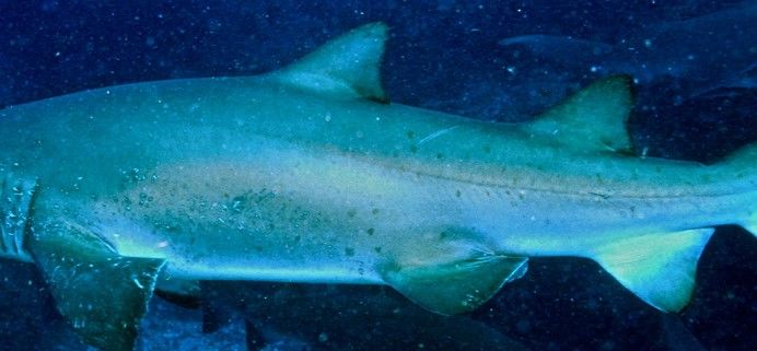 d52fafbc-094d-4f84-a68f-2ee9b44cf202