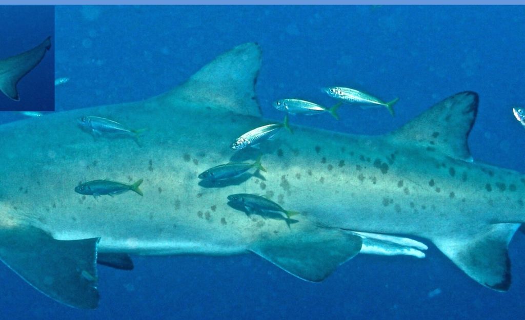 68d46f48-c0b7-4a7c-95c0-5bb19b00be23