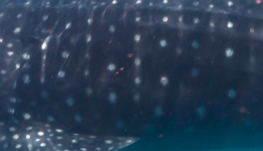 8b276c47-cc95-400c-bf19-9cbf64fda291