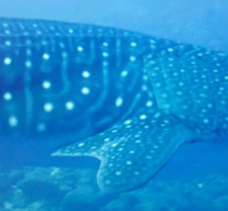 9e5721e9-4036-41eb-8c14-52c661119a3c