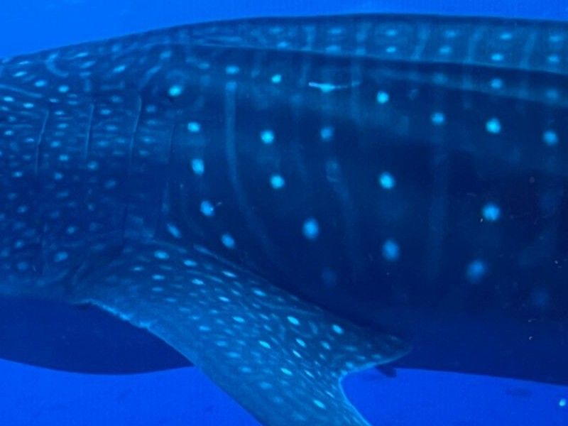 9e5721e9-4036-41eb-8c14-52c661119a3c