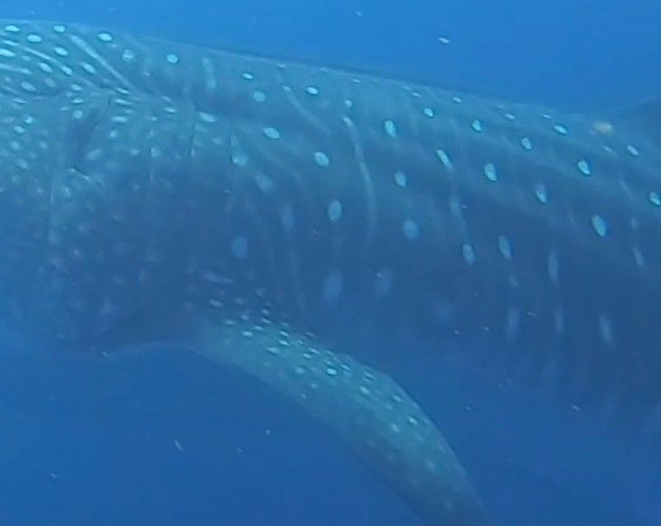 7ed39a61-4f31-4e0f-9c3b-a72af3375f27