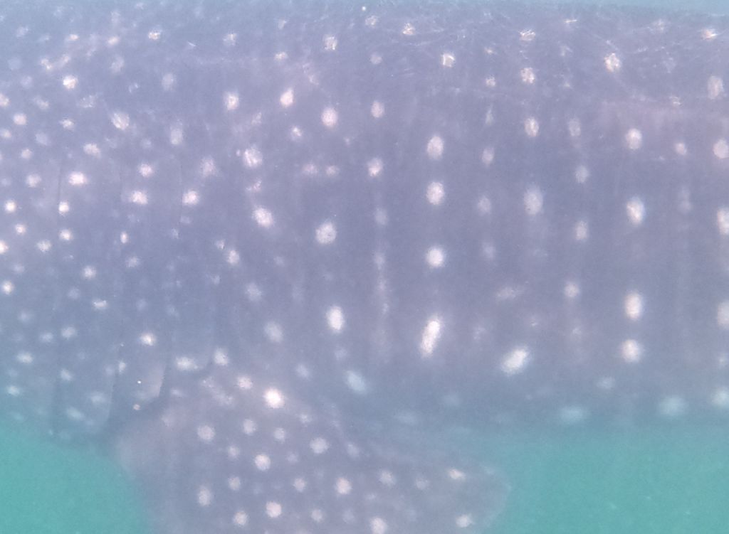 5e144b11-30c3-4f20-b7db-1d32e991afb1