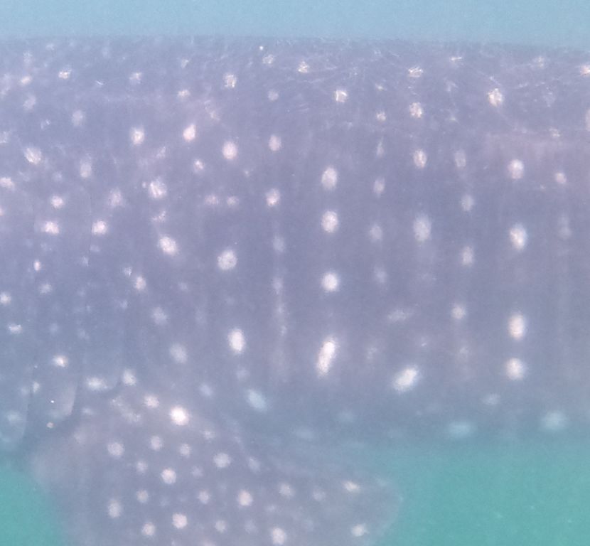 5e144b11-30c3-4f20-b7db-1d32e991afb1