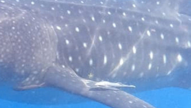 cf8530a8-a37a-4606-96d6-df7156926a00