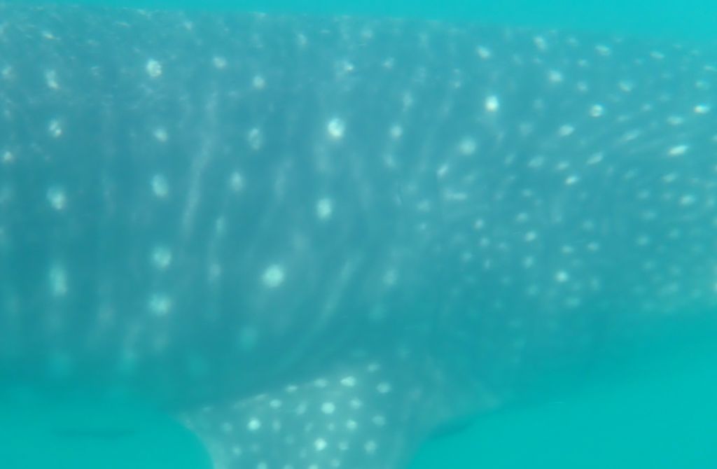 09f330c4-17ca-4fd0-a4eb-99cfbffcc0f8