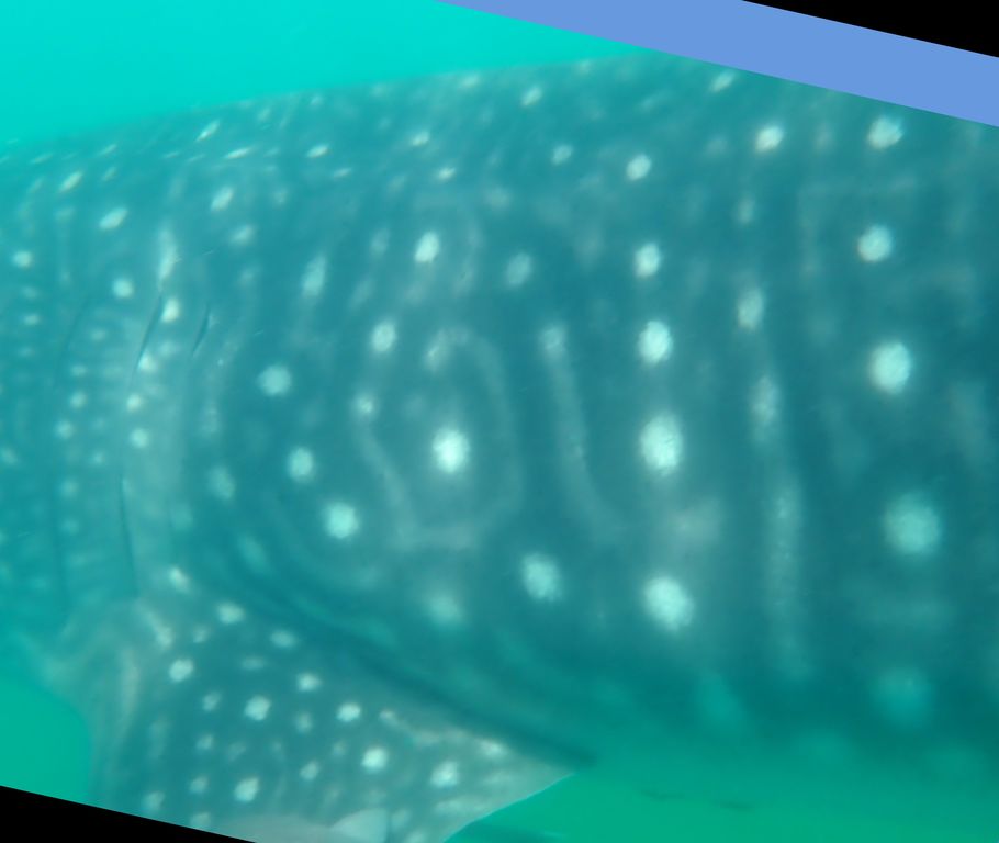 09f330c4-17ca-4fd0-a4eb-99cfbffcc0f8