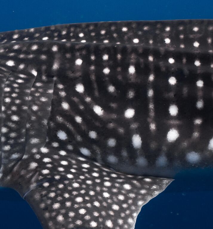 223cf800-31dc-4628-bf0c-dc4b07aeebda