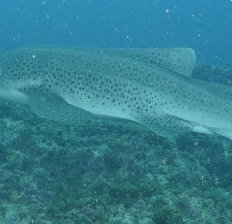 a62a67d3-73d8-4fe4-b3d5-90bed4a8756f