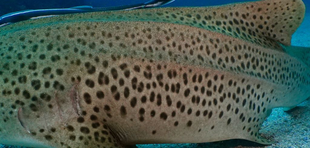 9f80584e-b1ed-4b3f-928f-06d71e41b4ca