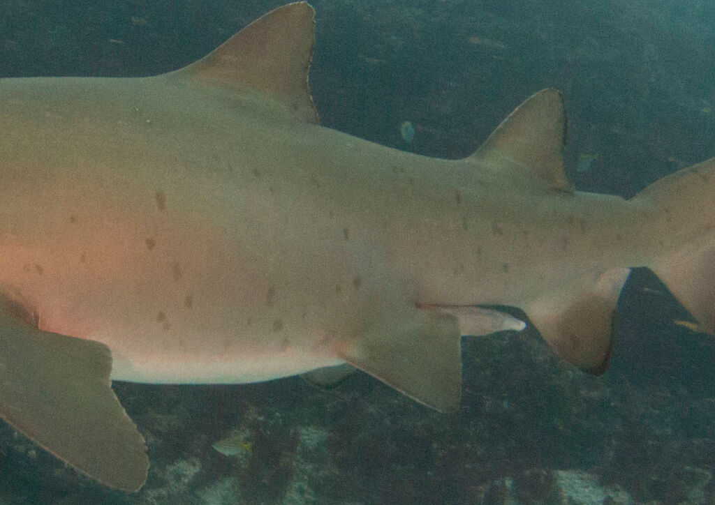 2e33645d-9b13-4719-a3d3-06babfbe96c8