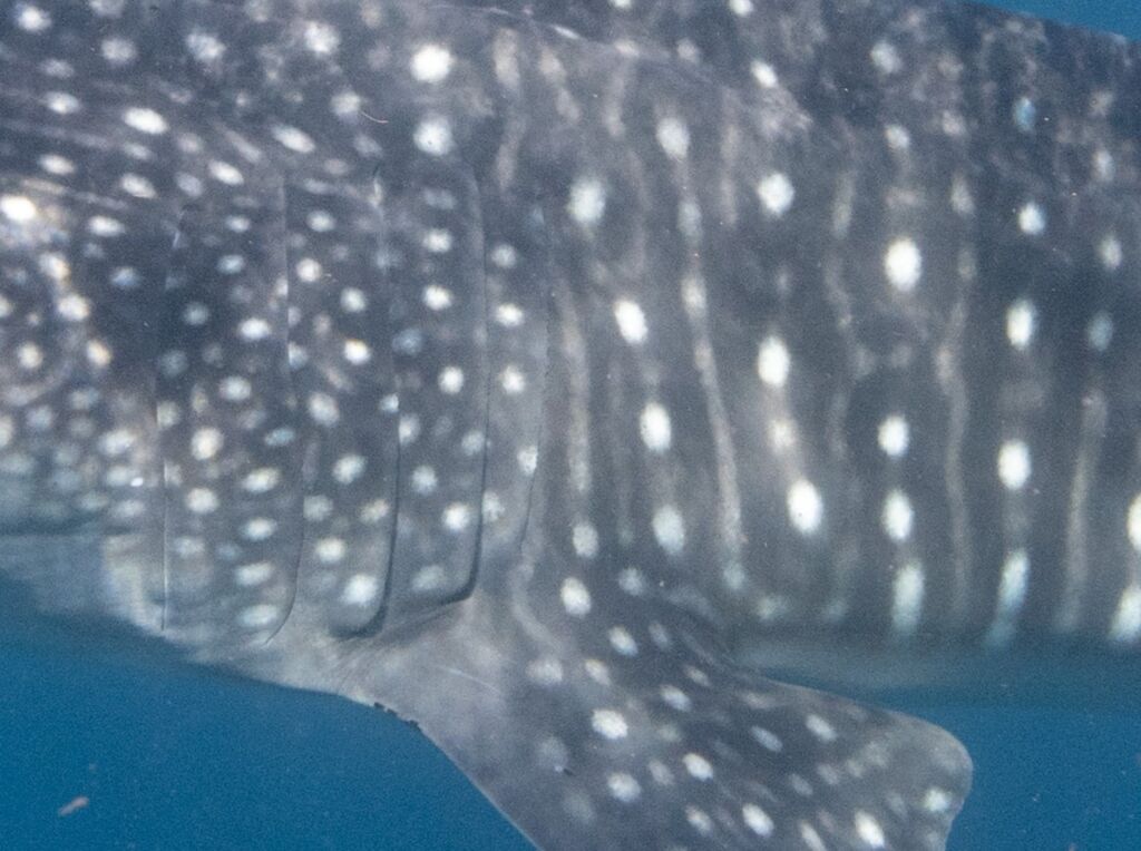 2b1c94fc-40a1-4e50-a812-09bcd51ac9fc