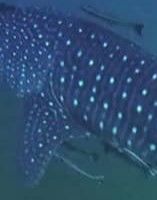 138d49fb-4823-4dd3-b3f6-3174503af6cc