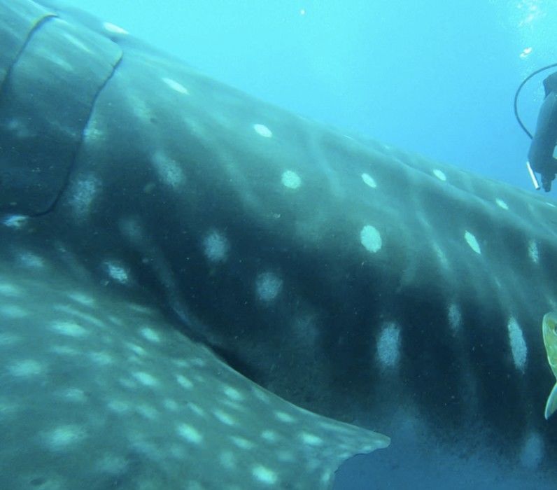 14b4db02-8ae9-4c3a-a82f-a28b307db2ca