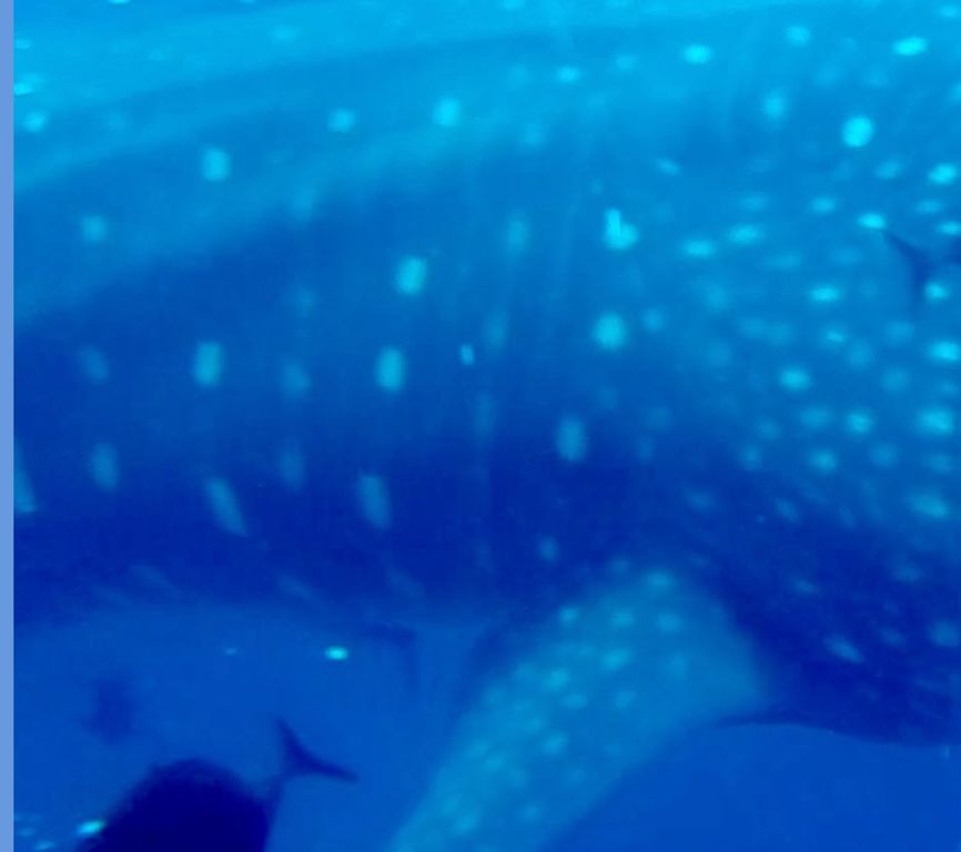 14b4db02-8ae9-4c3a-a82f-a28b307db2ca