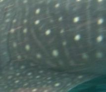 a436fa9b-4b0f-4fd6-81c4-40de48c68fbf