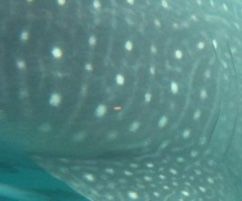 a436fa9b-4b0f-4fd6-81c4-40de48c68fbf