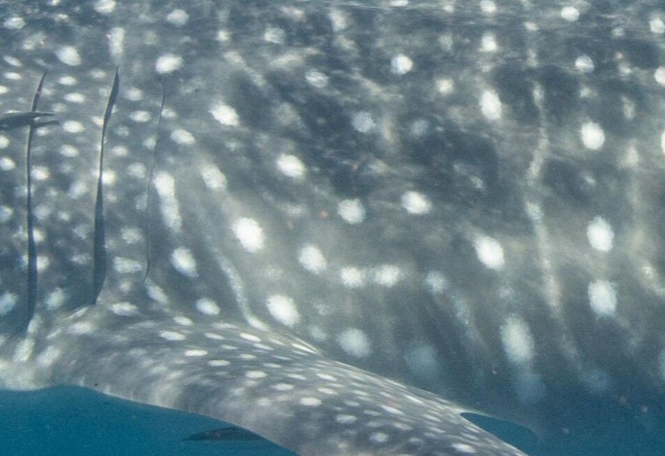 2aa0d8e1-9634-4967-ab7e-8768f46f4f23