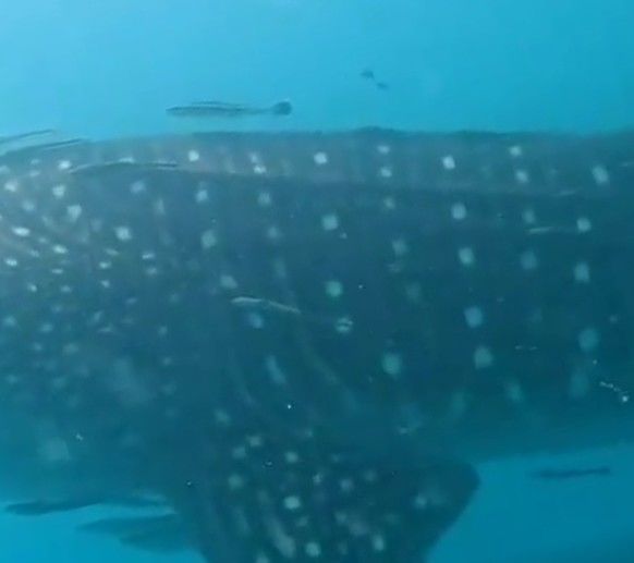 77f9ab79-4fb1-4257-95c9-185571553cef