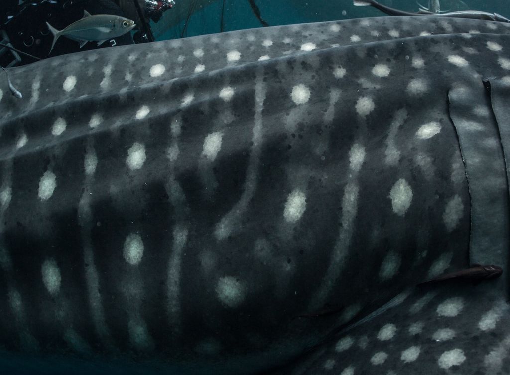 476880d0-a200-48d4-a74a-f04e63853e0f