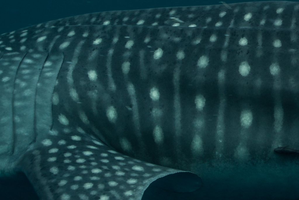 476880d0-a200-48d4-a74a-f04e63853e0f