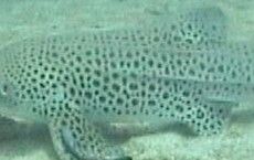 1a96d860-8214-41e2-92ac-9ad0492f6e72