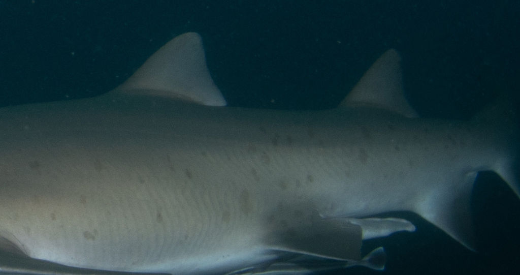 4808ccba-5029-4fdc-9e12-77b33c6268d9