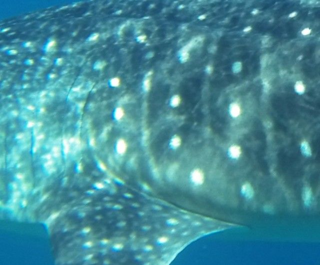 bb62c57c-3709-4236-8a89-4e2da08a8141