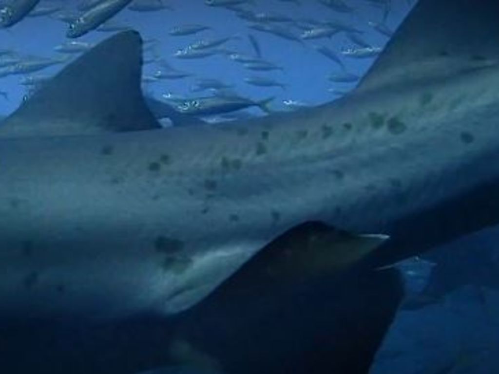 d3d97800-043a-41d2-848c-12a80f29ce0a