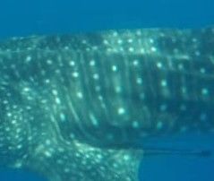 3b8618ea-40a1-49d8-8e13-4c138d87d93e