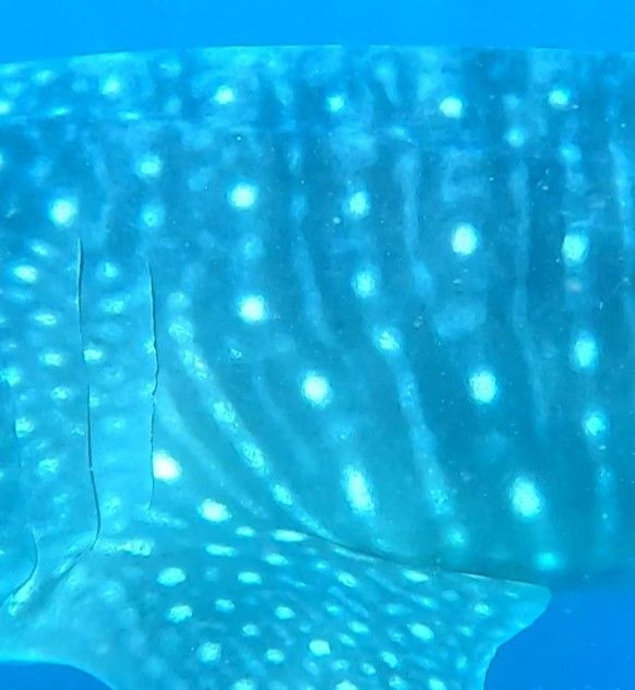 1be8b04a-c501-49ed-9d90-cb72b8e76f7a