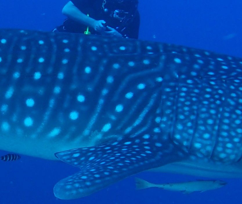 39f600cc-d1d5-4fcf-a7c4-c64a73a891b9