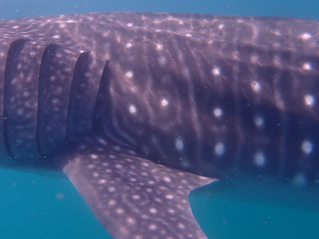 a7e7e02d-57b6-4d95-a7cd-1f81c40402f5